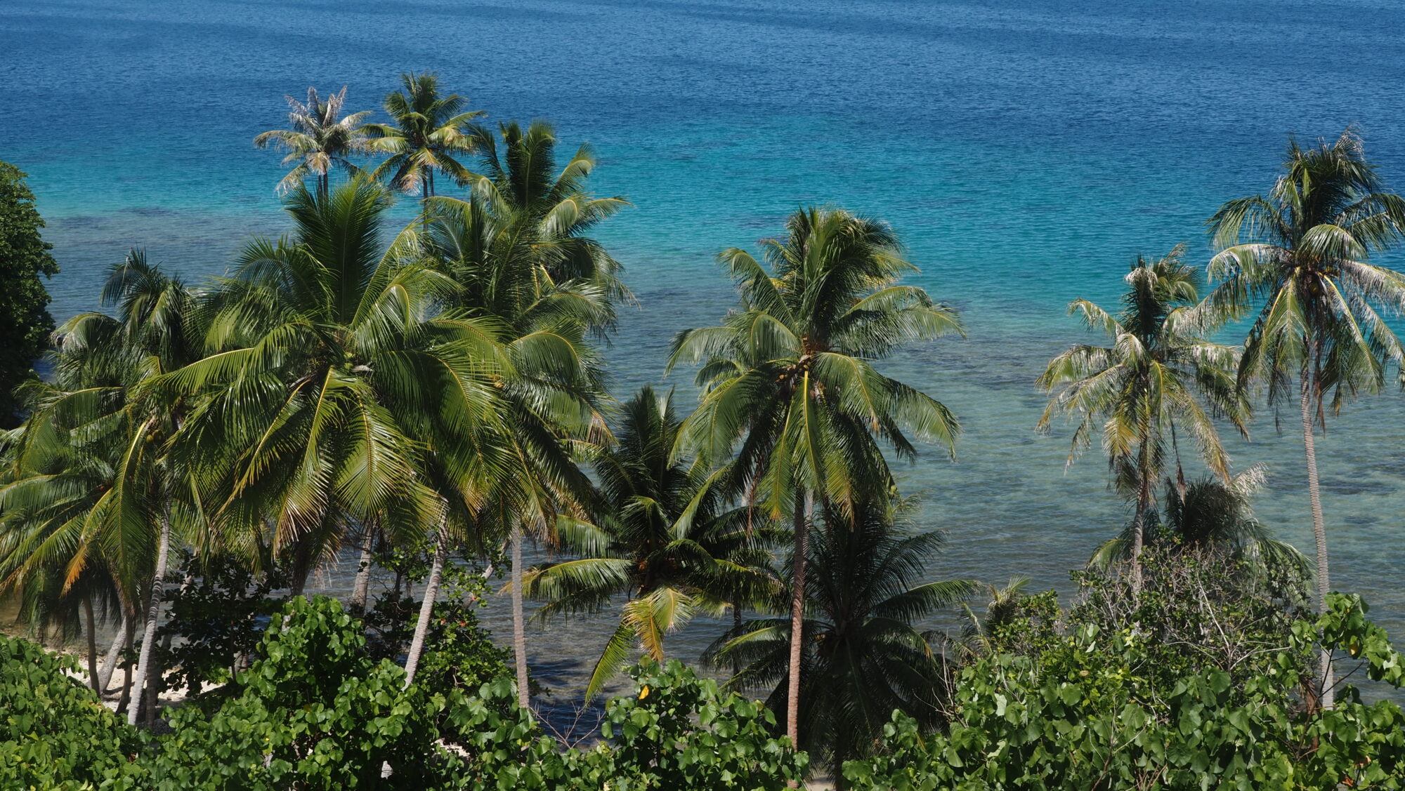 Paradise water of Huahine French Polynesia, blue & turquoise water & palm trees