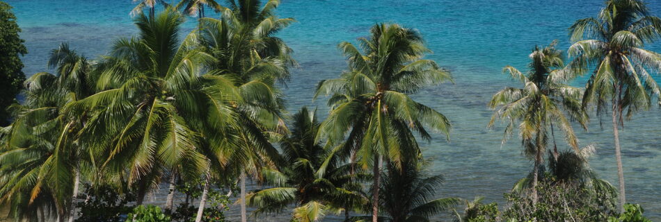 Paradise water of Huahine French Polynesia, blue & turquoise water & palm trees